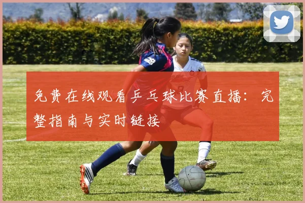 免费在线观看乒乓球比赛直播：完整指南与实时链接