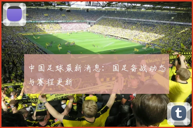 中国足球最新消息:国足备战动态与赛程更新