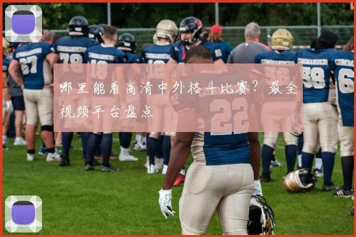 哪里能看高清中外格斗比赛？最全视频平台盘点
