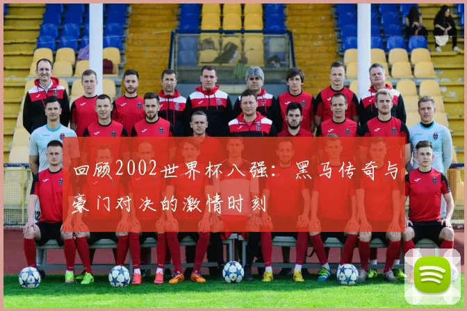 回顾2002世界杯八强：黑马传奇与豪门对决的激情时刻