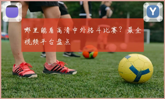 哪里能看高清中外格斗比赛？最全视频平台盘点